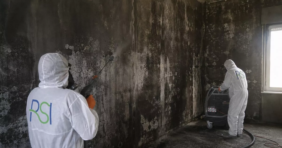 Pulizia post incendio a Pavia — Rapida Servizi Italia