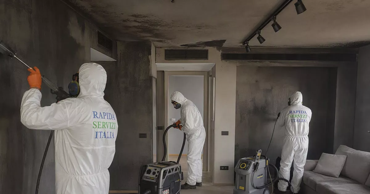 Pulizia post incendio nel Verbano-Cusio-Ossola — Rapida Servizi Italia